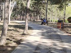 -仁和公园(顺义区)