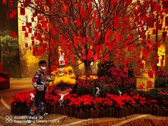 -广州天河希尔顿酒店