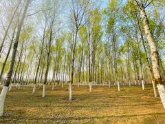 -东郊湿地公园