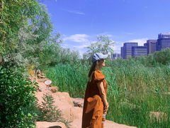 -小绿谷公园