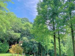 -重庆彩云湖湿地公园