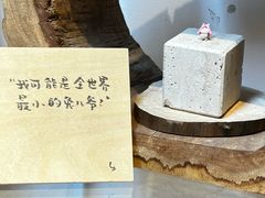 -创艺无限·赵春香微妙艺术馆