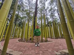 -东湖落雁景区