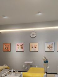 点击看大图 -洗脸猫·洗脸吧