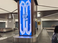 -谢列梅捷沃国际机场