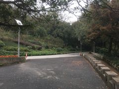 -上海市保健医疗中心(华东疗养院)