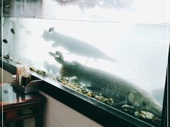 -汇豪轩(光明东路店)