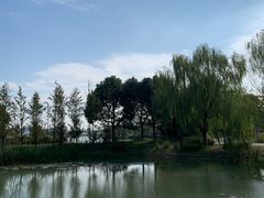 -梁鸿国家湿地公园