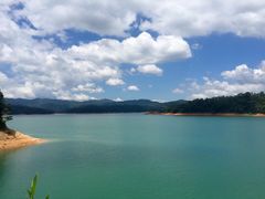-广州市流溪河国家森林公园