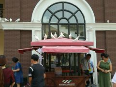 -王府井奥莱临潼小镇(临潼店)