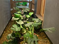 -邈墨茶馆(凤起路店)