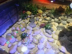 -西塘人家•黑金冠本地好店
