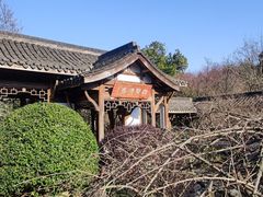 -杭州植物园