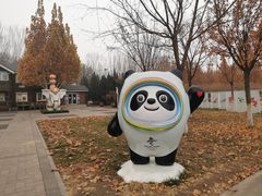 -永定河休闲森林公园