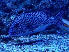 -成都浩海立方海洋公园