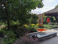 -英德宝晶宫天鹅湖茶语温泉