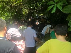 -青青世界