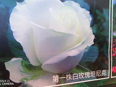 -亚龙湾海底世界
