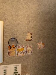 -深圳鹏爱秀琪医疗美容医院