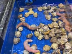 -万宝海鲜舫(劳动公园店)