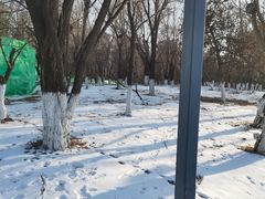 -长白岛森林公园