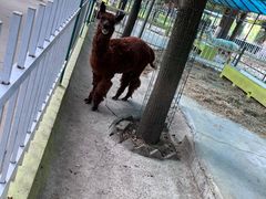 -荆州中山公园动物园