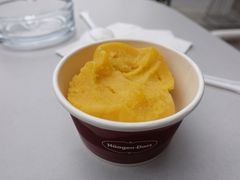 -哈根达斯(深圳海岸城店)