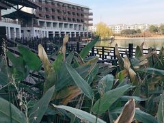 -水月周庄铂尔曼酒店-水月荟中餐厅