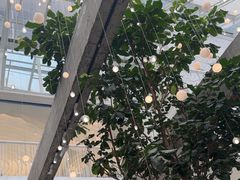 -大树餐厅(红旗街万达店)