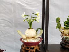 -九龙公园