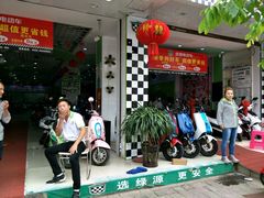 -绿源电动车(胜利路专卖店)