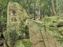 -普陀山风景区-佛顶山