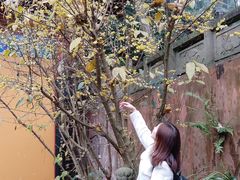 -都江堰普照寺