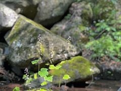 -藏龙百瀑风景区