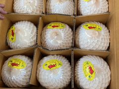 椰青-西郊国际农产品交易中心