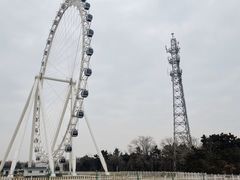 -日照海滨国家森林公园