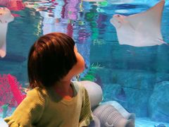 -沈阳海洋探索中心