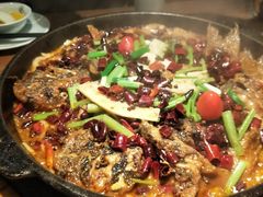 -老板恋上鱼(印象城店)