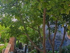 -正阳书局(西四南大街店)