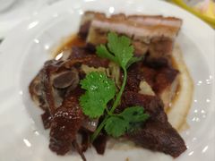 -永記粤菜·五指毛桃花雕鸡煲(九亭店)