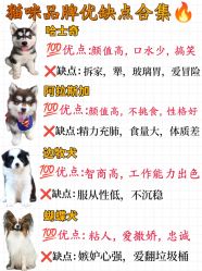 -神奇动物撸宠馆·羊驼·小浣熊·异宠(豫园店)