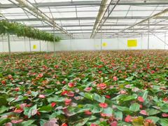 -西部兰花园生态园