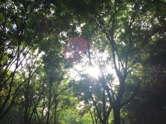 -唐城墙遗址公园
