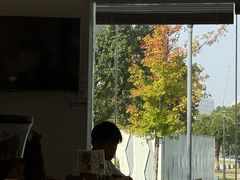 -爱樂咖啡(青年体育公园店)