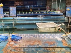 水产区-宝燕海货工场(长江国际店)