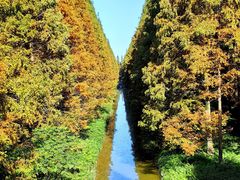 -黄海国家森林公园