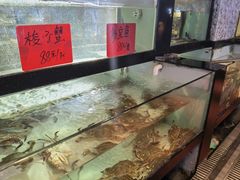 水产区-侬佳蒸菜馆(听潮店)