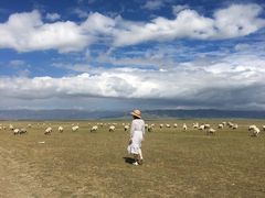 -青海湖国家重点风景名胜区