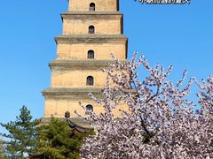 -醉长安(钟楼旗舰店)