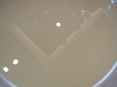 -福瑞记老孙头biangbiang面(新生路店)